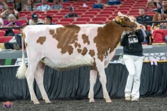 A9105424-3849 A9105424-3849