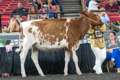 A9105429-3850 A9105429-3850