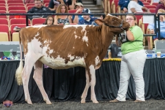 A9105432-3851 A9105432-3851