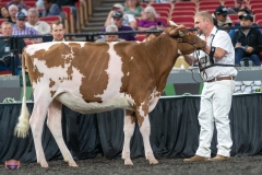 A9105441-3853 A9105441-3853