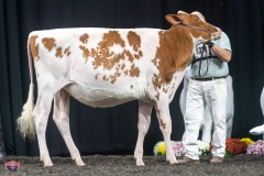 A9105443-3854 A9105443-3854