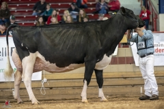 A9303525-2 A9303525-2