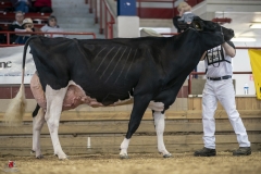 A9303531-2 A9303531-2