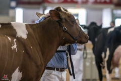 A9303348-2 A9303348-2