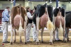 A9303244-2 A9303244-2