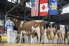 A9303250-2 A9303250-2