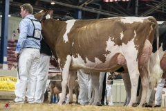 A9303251-2 A9303251-2