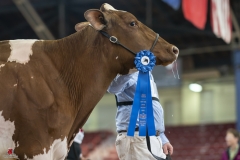 A9303260-2 A9303260-2