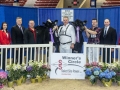 New York International Spring Holstein Show 2014 - Junior Champion