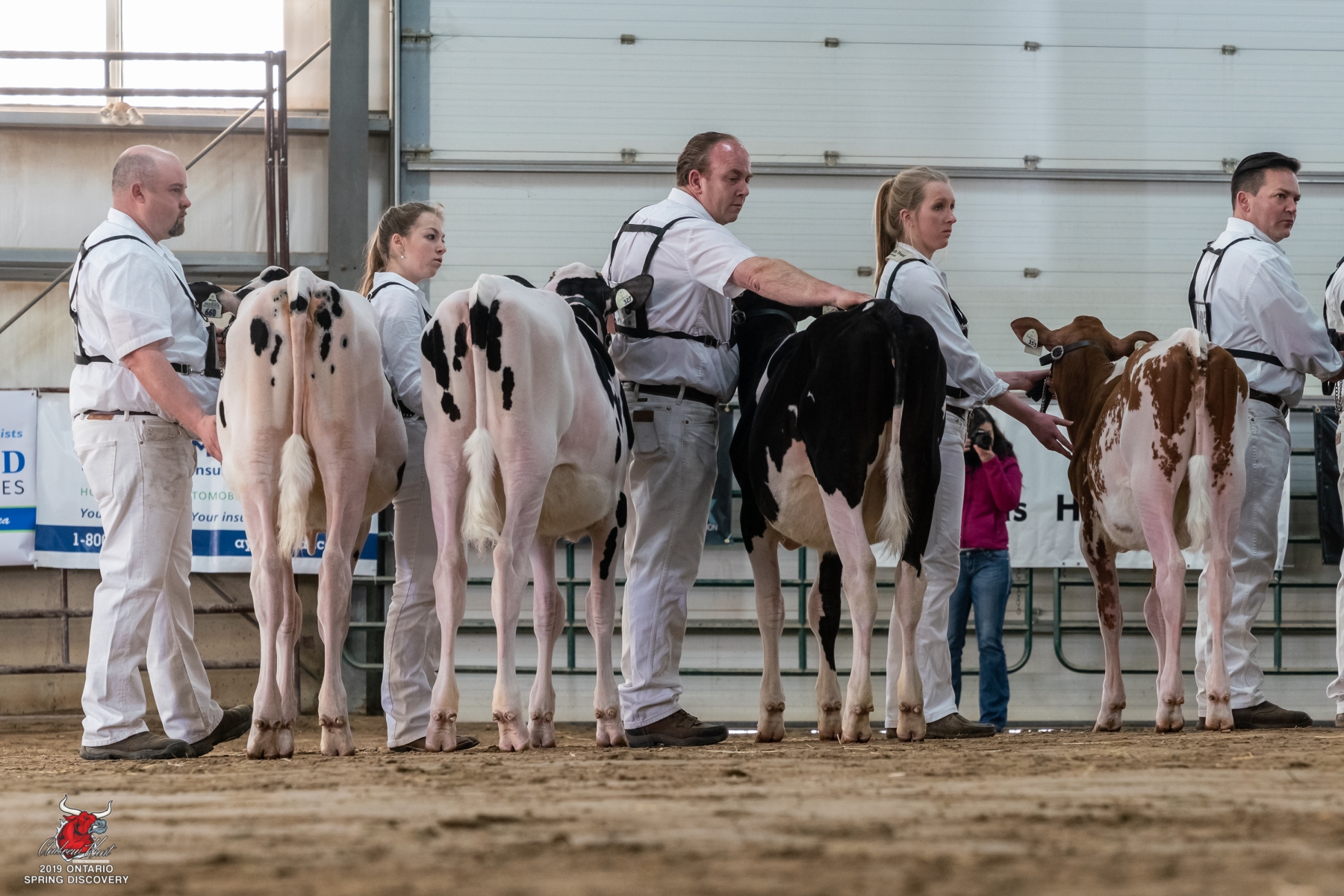 Woodworking Shows 2019 Ontario - ofwoodworking