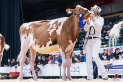 DSC00003-4 DSC00003-4