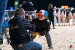 DSC00231-2 DSC00231-2