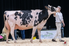 DSC00465-2 DSC00465-2