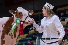 DSC09998-4 DSC09998-4