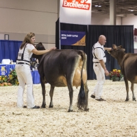 IMG_9540-2 IMG_9540-2