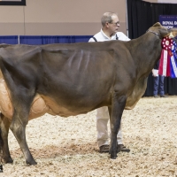 IMG_9541-2 IMG_9541-2