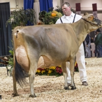 IMG_9542-2 IMG_9542-2