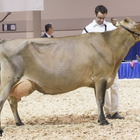 IMG_9544-2 IMG_9544-2