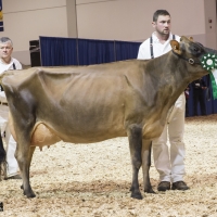 IMG_9545-2 IMG_9545-2