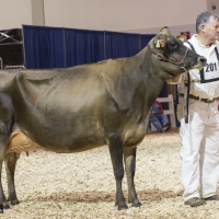 IMG_9546-2 IMG_9546-2