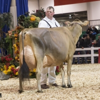 IMG_9547-2 IMG_9547-2