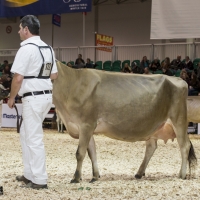 IMG_9476-2 IMG_9476-2