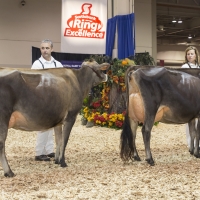 IMG_9489-2 IMG_9489-2