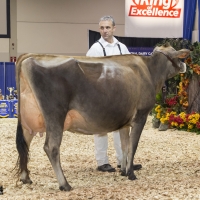 IMG_9490-2 IMG_9490-2