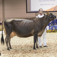 IMG_9491-2 IMG_9491-2