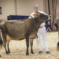 IMG_9495-2 IMG_9495-2