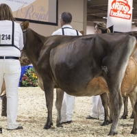 IMG_9588-2 IMG_9588-2