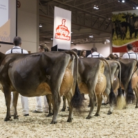 IMG_9591-2 IMG_9591-2