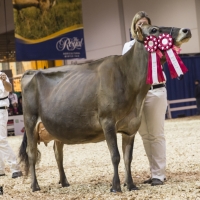 IMG_9593-2 IMG_9593-2