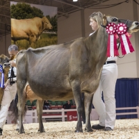 IMG_9595-3 IMG_9595-3