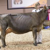 IMG_9596-2 IMG_9596-2