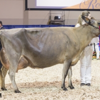 IMG_9598-2 IMG_9598-2