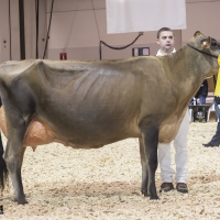 IMG_9599-2 IMG_9599-2