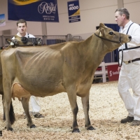 IMG_9600-2 IMG_9600-2