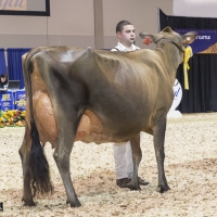 IMG_9601-2 IMG_9601-2