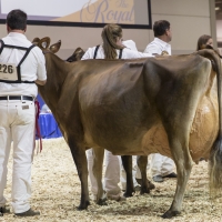 IMG_9604-3 IMG_9604-3