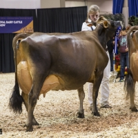 IMG_9614-2 IMG_9614-2