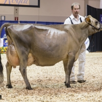 IMG_9615-2 IMG_9615-2