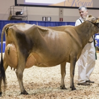 IMG_9617-2 IMG_9617-2