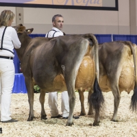 IMG_9676-2 IMG_9676-2