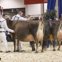 IMG_9678-2 IMG_9678-2