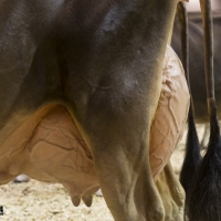 IMG_9679-2 IMG_9679-2