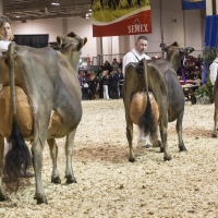 IMG_9680-2 IMG_9680-2