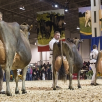 IMG_9682-2 IMG_9682-2