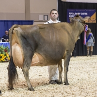 IMG_9683-2 IMG_9683-2