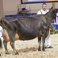 IMG_9684-2 IMG_9684-2